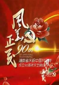 2011湖南卫视建党90周年文艺晚会